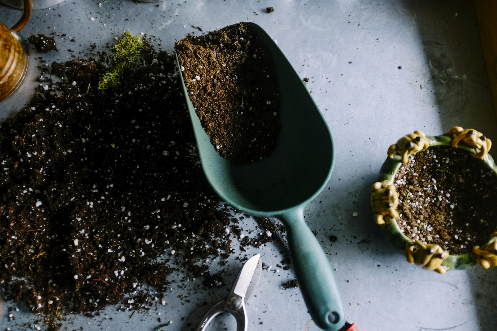 Rich soil being scooped, showing a natural soil amendment
